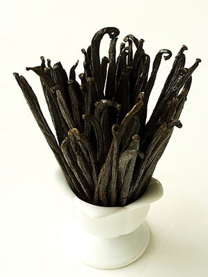 Vanilla Bean Fragrance Oil 17006