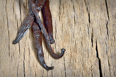 Vanilla Sandalwood Fragrance Oil 17016