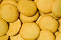 Vanilla Wafers Fragrance Oil 17020