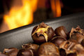 Woodland Chestnut Fragrance Oil 17176
